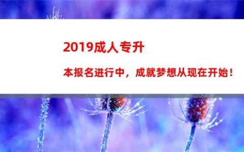 2013专升本招生计划公布！赶紧点击了解报名细节！