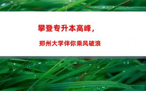 攀登职场巅峰，看专升本英语如何提升你的竞争力